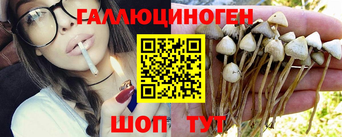 Находка  Галлюциногенные грибы мицелий  даркнет сайт  Вход с VPN  Псилоцибиновые грибы Psilocybine cubensis 