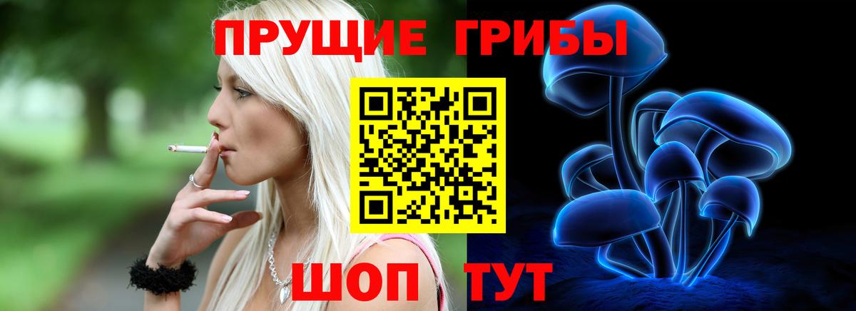 Галлюциногенные грибы Cubensis Находка